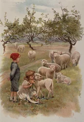 Crianças com cordeiros entre as margaridas
